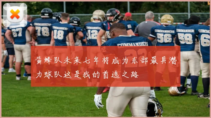 黄蜂队未来七年将成为东部最具潜力球队这是我的首选之路