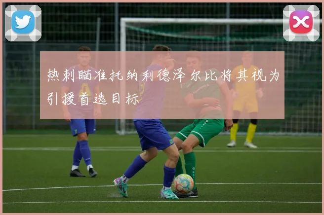 热刺瞄准托纳利德泽尔比将其视为引援首选目标